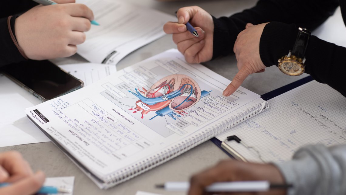 Schüler*innen arbeiten am Thema "Herz"